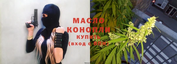 сатива Аркадак