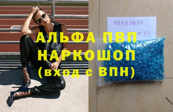 сатива Аркадак