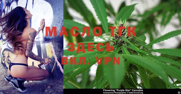 тгк Армянск