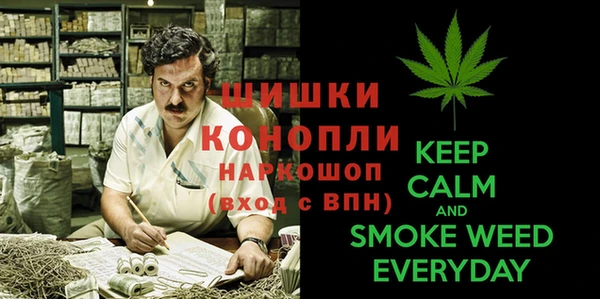 сатива Аркадак