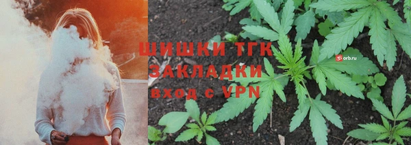 сатива Аркадак