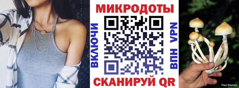 дарк нет официальный сайт  хочу   Осинники  Галлюциногенные грибы Psilocybe 